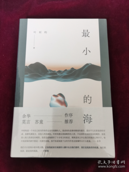 最小的海（余华作序力荐，莫言青睐，90后文学新声叶昕昀小说集。予你废墟之上重建烟火生活的力量。）