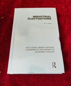 Industrial Fluctuations 英文原版旧书