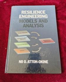 Resilience Engineering: Models and Analysis