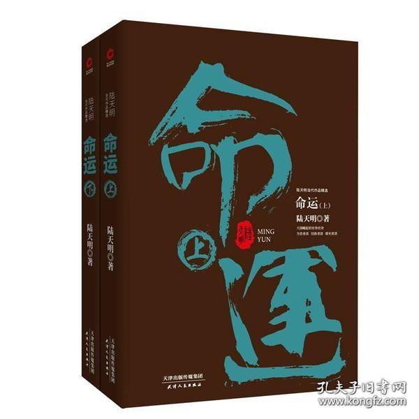 陆天明当代作品精选：命运（套装全2册）