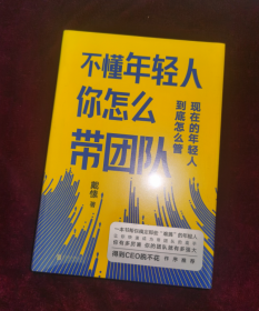 正版塑封 不懂年轻人 你怎么带团队