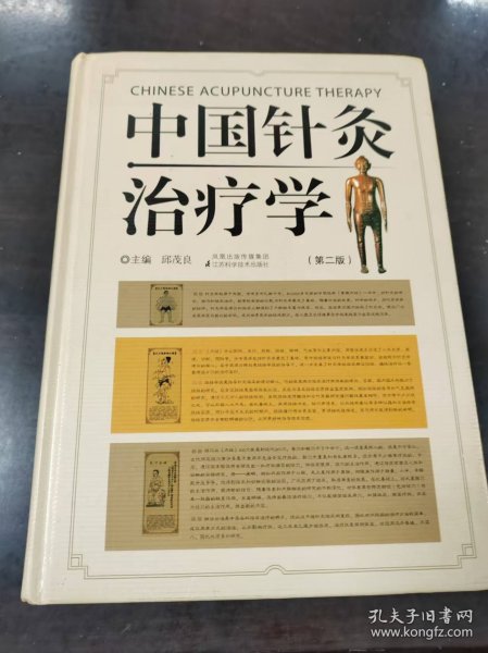 中国针灸治疗学（第2版）