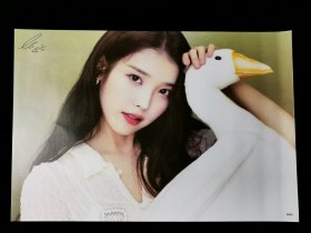 【海报】李知恩
