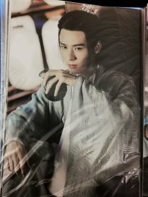【8开 海 报】山河令