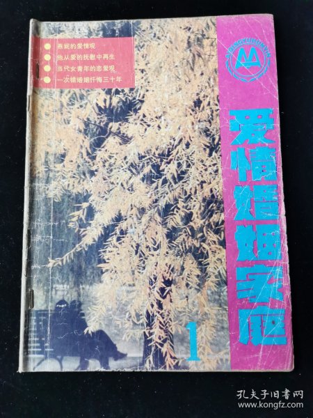 创刊号《爱情婚姻家庭》