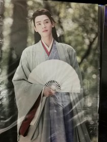 【8开海报】山河令