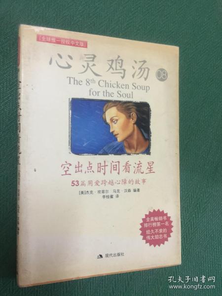 空出点时间看流星：53篇用爱跨越心障的故事