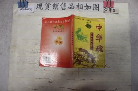 中华魂:革命英雄故事选