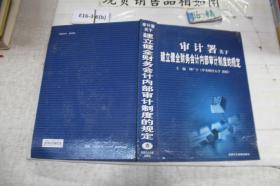 审计署关于建立健全财务会计内部审计制度的规定 四