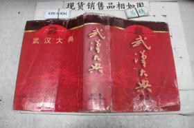 武汉大典第二卷（1976-1998）