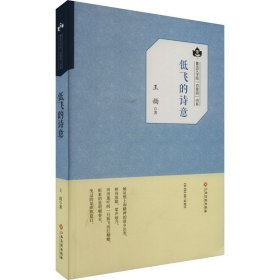 低飞的诗意