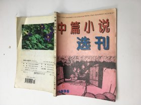 中篇小说选刊 1996年第6期