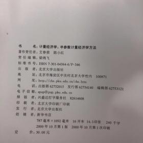 计量经济学：半参数计量经济学方法——经济与金融高级研究丛书