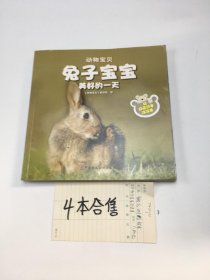 动物宝贝 合售 4册 虎宝宝+猫咪宝宝+企鹅宝宝+兔子宝宝