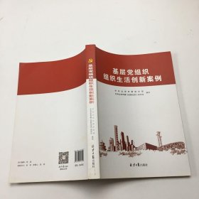 基层党组织组织生活创新案例。