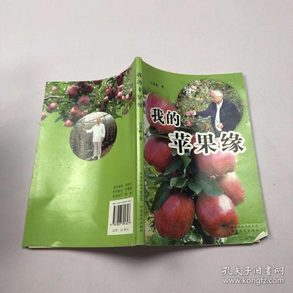 我的苹果缘