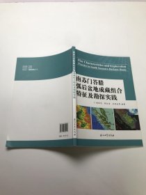 南苏门答腊弧后盆地成藏组合特征及勘探实践