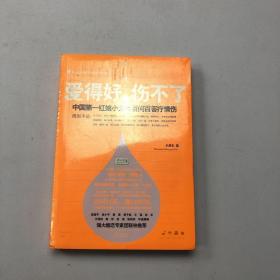 爱得好，伤不了：中国第一红娘小龙女百问百答疗情伤