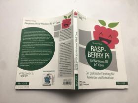 rasp berry pi