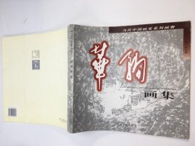 当代中国画家系列画册:华驹画集