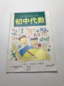 中小学学科教学基本标准 ： 初中代数 第一册 下