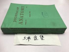 Journalofanatomy 1982年 3本合售