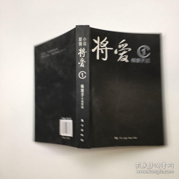 将爱，一位亚洲天后的情感世界