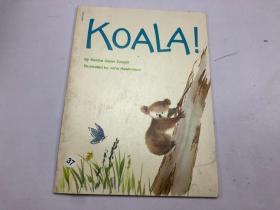 koala