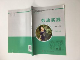 劳动实践 二年级 下