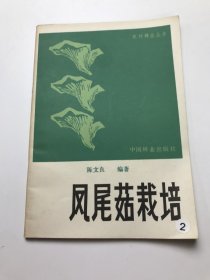 凤尾菇栽培