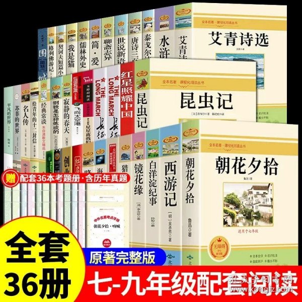 中小学新版教材 统编版语文配套课外阅读 名著阅读课程化丛书：西游记 七年级上册（套装上下册） 