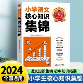 正版全新小学通用/王朝霞小学核心知识集锦【语文】 王朝霞小学语文阅读训练100篇答案超详解小学生阅读理解解题技巧答题思路小升初古诗文词解析大全阅读理解训练题