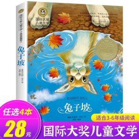 正版全新兔子坡 会飞的教室三四五年级课外书必读经典书目童话故事书小学生阅读六年级国际大奖儿童文学系列图书读物小说的教师GJ