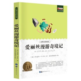 正版全新爱丽丝漫游记 2025武忠祥考研数学高等数学基础篇李永乐线性代数复习全书基础660题数一数二数三历年真题全精解析基础概率辅导讲义