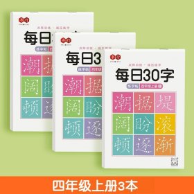 正版全新四年级上册3本 【压同步字帖】书行每日30字一年级字帖上下册语文点阵同步练字帖二三年级人教版小学生专用每日一练钢笔临摹描红硬笔书法练字本