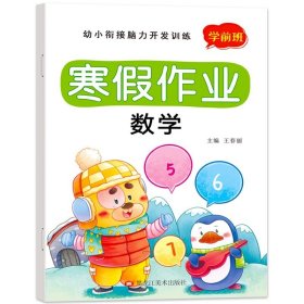 正版全新【学前班】寒假作业 数学 2024幼儿园寒假作业学前小班中大班幼小衔接寒假衔接作业 数学思维启蒙训练教材语文拼音练习册每日一练幼升小专项训练习题一本通