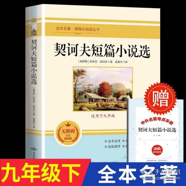 儒林外史/部编版九年级上推荐阅读无障碍精读版