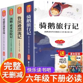 正版全新【全4册完整版1240页】六年级必读 全套4册 骑鹅旅行记六年级下册必读的课外书原著爱丽丝漫游奇境 鲁滨逊漂流记 汤姆索亚历险记书目快乐读书吧尼尔斯SS