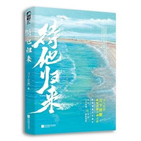 正版书籍 待他归来 人气作者刀下留糖破镜重圆口碑之作 网络原名当卧底退休后新增万字番外 清冷音乐老师VS深情卧底警察 刀下留糖