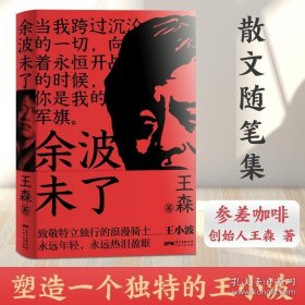 正版书籍【出版社自营】余波未了 致敬王小波 经典散文随笔集 王小波传记 现代当代文学中国现当代文学小说 人物传记类 书籍畅销书排行榜