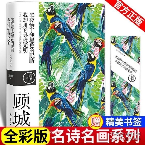 名诗名画系列《黑夜给了我黑色的眼睛，我却用它寻找光明》 ——顾城经典诗集