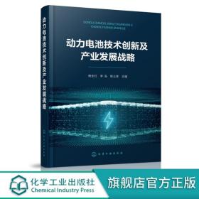 动力电池技术创新及产业发展战略