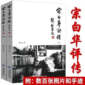 正版书籍宗白华评传（上下） 美学大师宗白华先生传记著