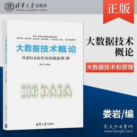 正版书籍大数据技术概论 娄岩 徐东雨 清华大学出版社