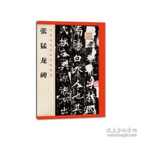 正版书籍张猛龙碑 中国历代名碑名帖精选 毛笔书法字帖