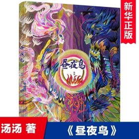 正版书籍 昼夜鸟 汤汤幻野故事簿 汤汤著作系列奇幻童年故事书儿童文学童话幻想小说三四五六年级小学生课外阅读书籍浙江少年儿童出版社正版