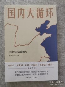 正版书籍国内大循环 张占斌主编 湖南人民出版社