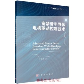 宽禁带半导体电机驱动控制技术/丁晓峰kx