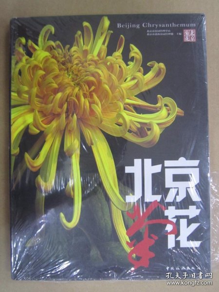 北京菊花