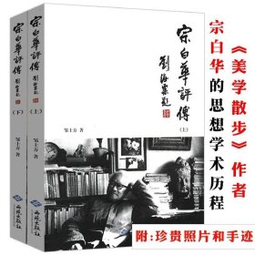 正版书籍宗白华评传（上下）